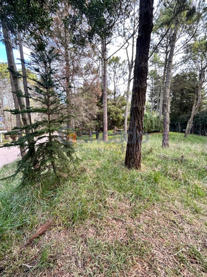 Venta Lote en Carilo