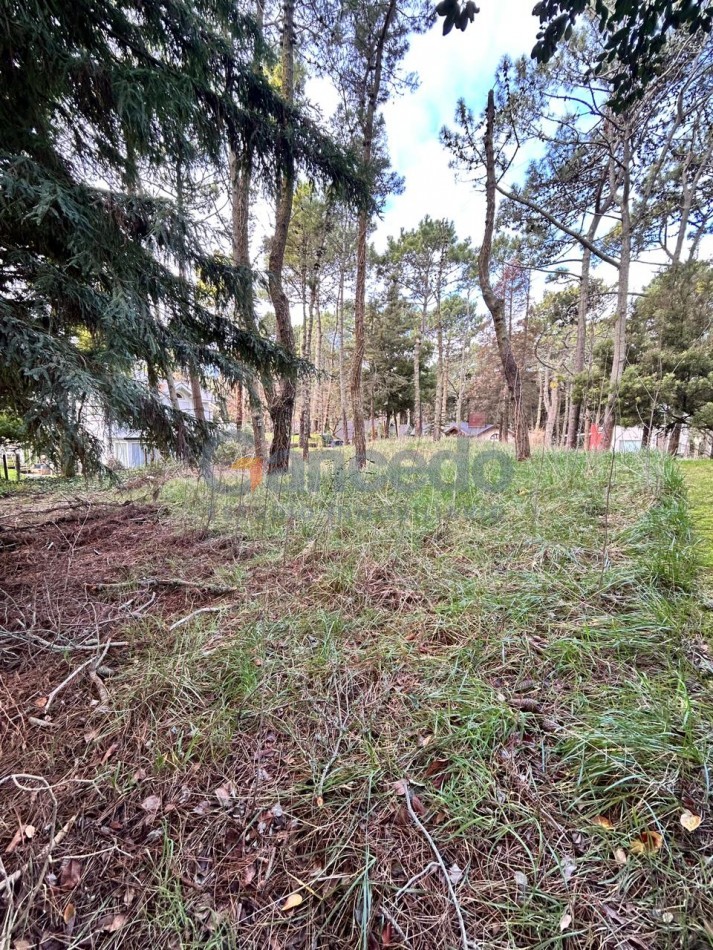 Venta Lote en Carilo