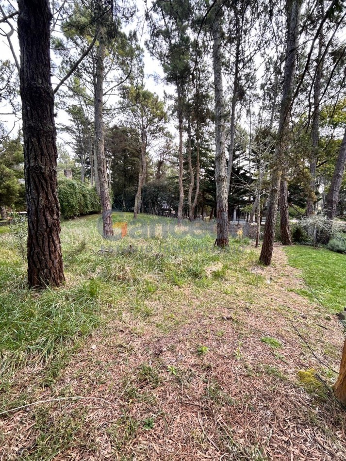 Venta Lote en Carilo
