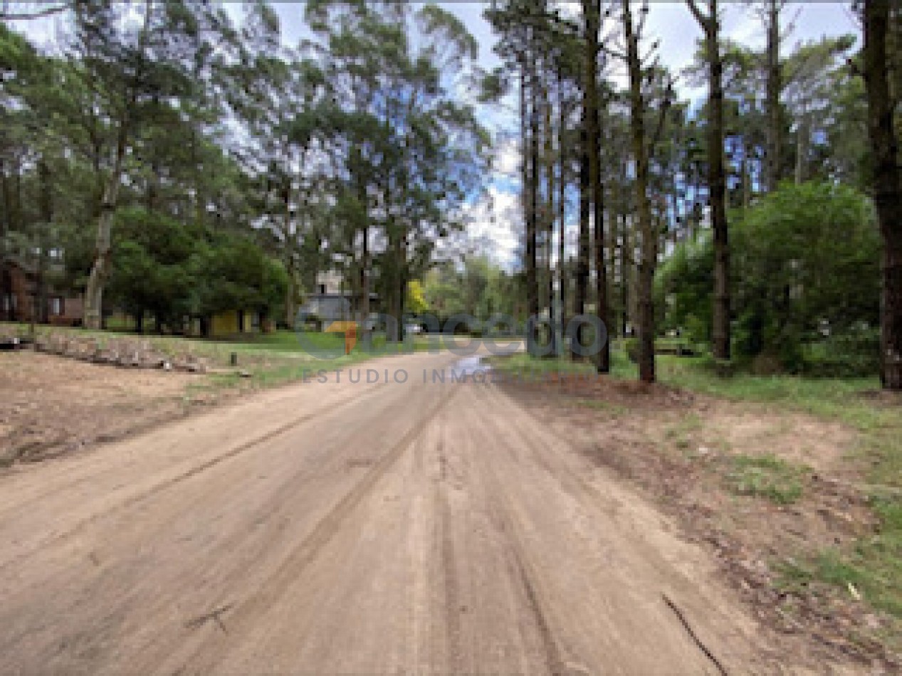 Lote Amplio Mar de las Pampas, Rodeado de Bosque y Cerca de la Playa 