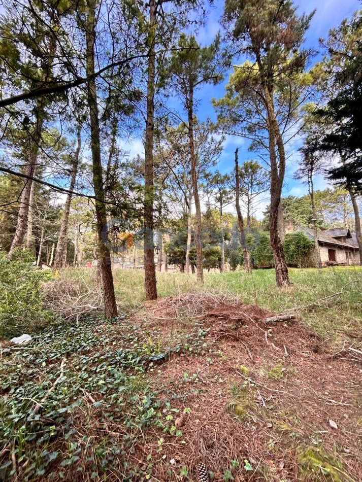 Venta Lote en Carilo