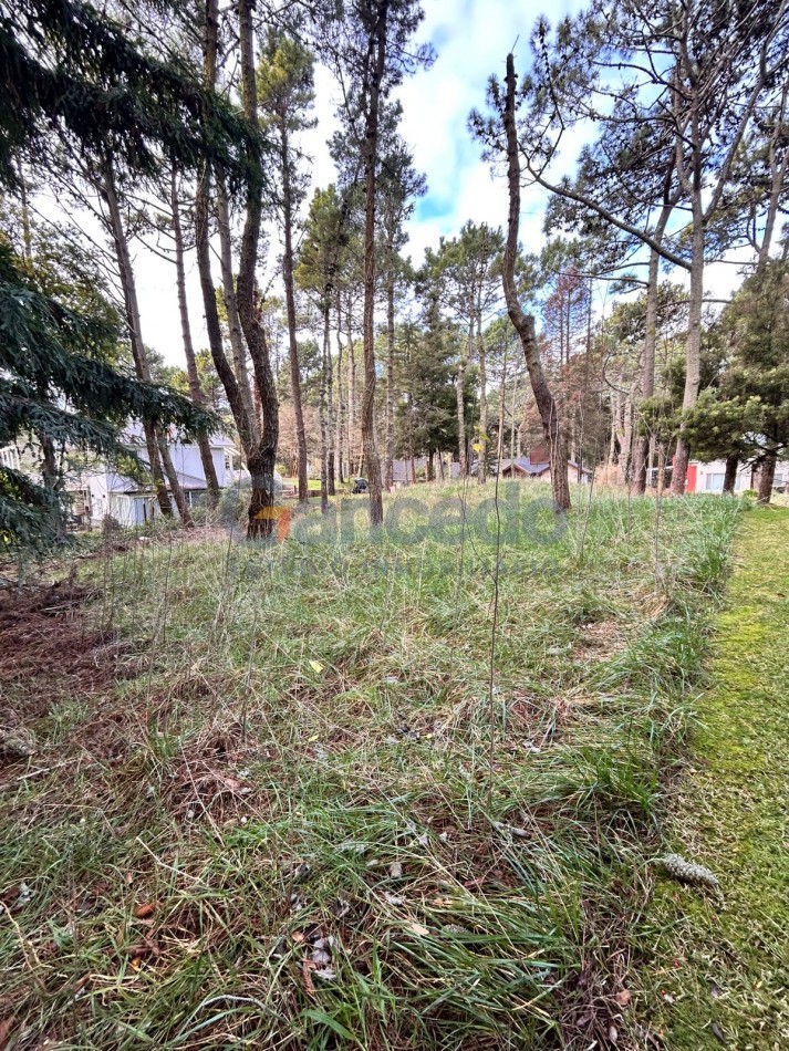 Venta Lote en Carilo