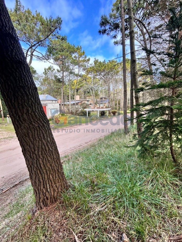 Venta Lote en Carilo