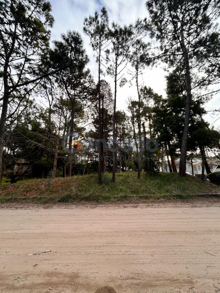 Venta Lote en Carilo