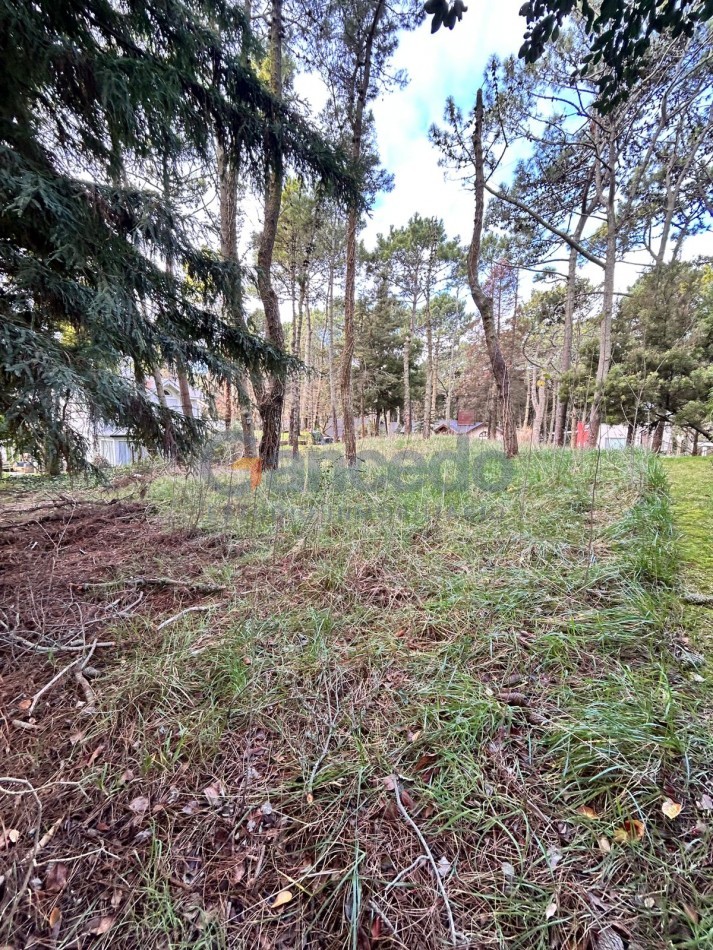 Venta Lote en Carilo