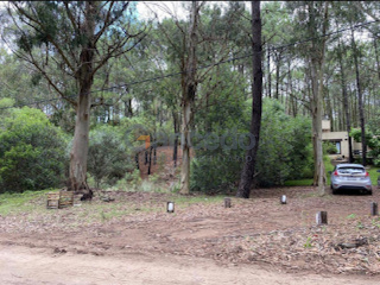 Lote Amplio Mar de las Pampas, Rodeado de Bosque y Cerca de la Playa 