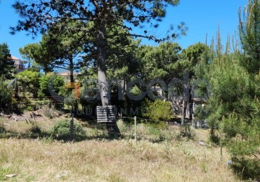 LOTE MULTIFAMILIAR, LAS GAVIOTAS, MAR DE LAS PAMPAS