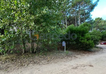 Lote En Venta Pinamar Alamos