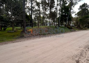 Venta Lote en Carilo