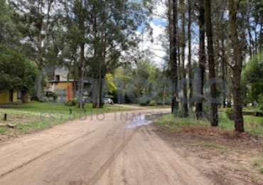 Lote Amplio Mar de las Pampas, Rodeado de Bosque y Cerca de la Playa 